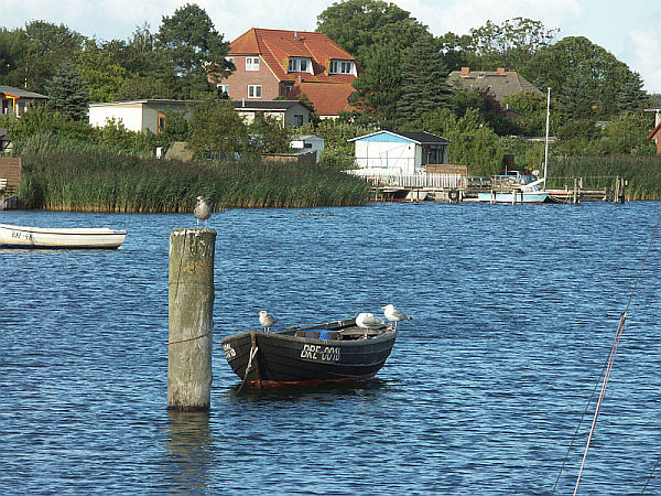Breeger Bodden