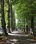Kurpark Juliusruh